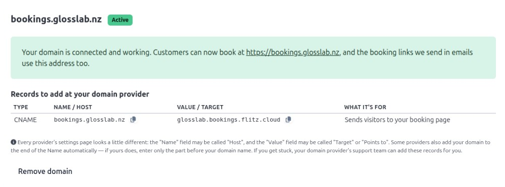 Flitz custom domain setup showing an active booking domain with CNAME records to connect at a domain provider